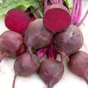 Detroit Dark Red Beet Seed