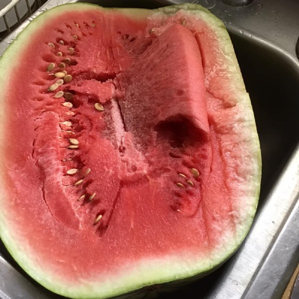 Dixie Queen Watermelon Seed