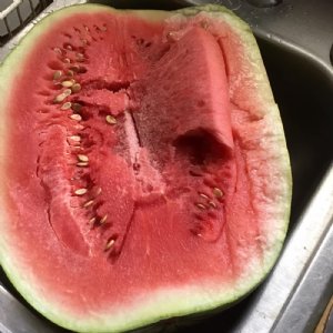 Dixie Queen Watermelon Seed