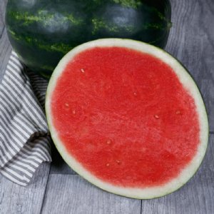 El Capitan Watermelon Seed