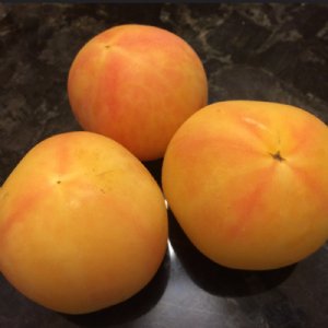 Elberta Peach Tomato Seeds