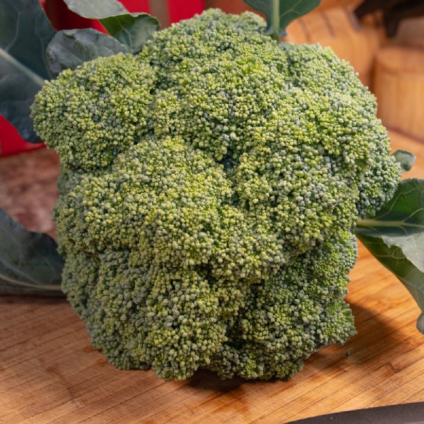 Emerald Crown Broccoli Seed