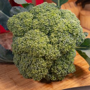 Emerald Crown Broccoli Seed