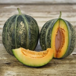 Emerald Gem Cantaloupe Seeds