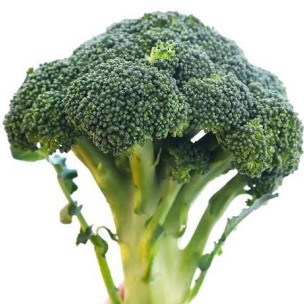 Empire Broccoli Seed