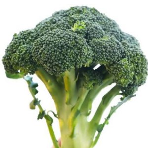 Empire Broccoli Seed