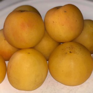 Garden Peach Tomato Seeds