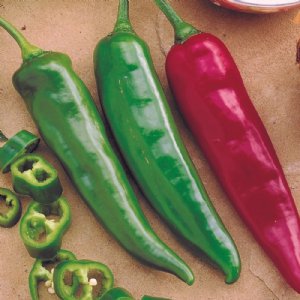 Garden Salsa Pepper Seed