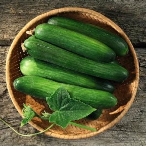 Garden Sweet Burpless Cucumber Seed