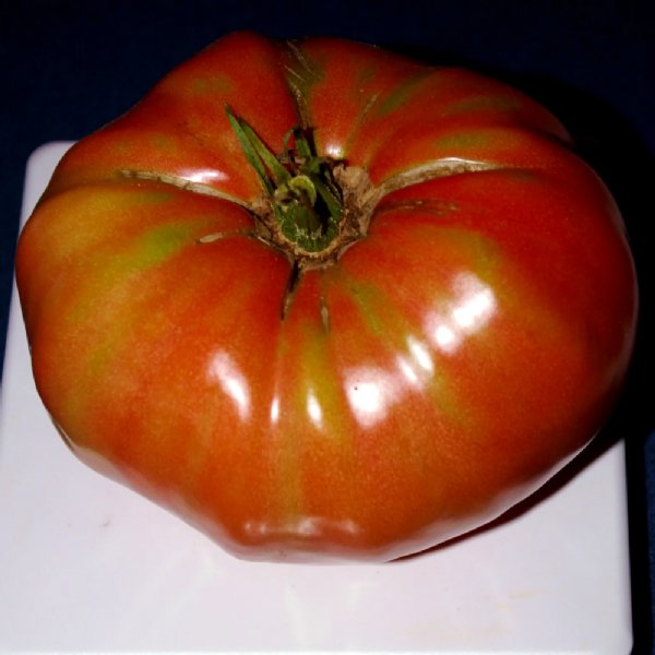 German Johnson Tomato Seeds