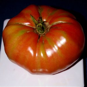 German Johnson Tomato Seeds