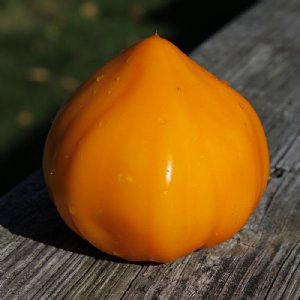 German Orange Strawberry Tomato Seeds