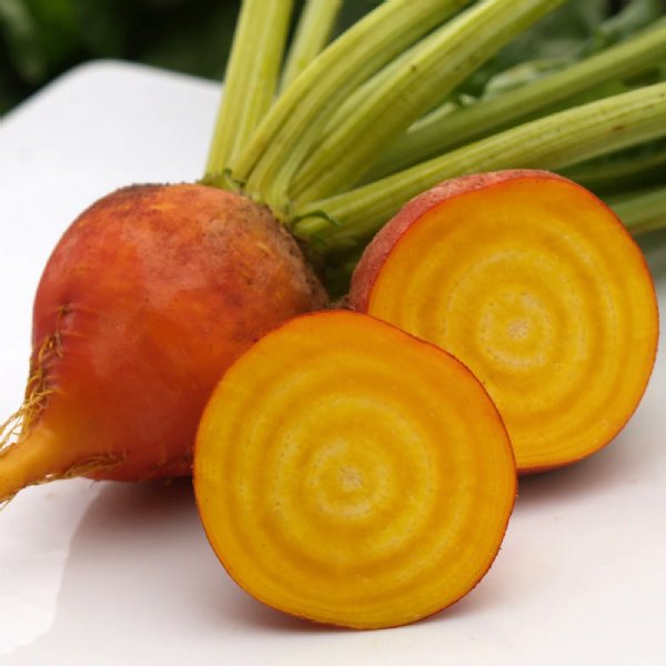 Golden Detroit Beet Seed