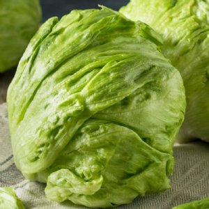 Great Lakes-Mesa 659 Lettuce Seed