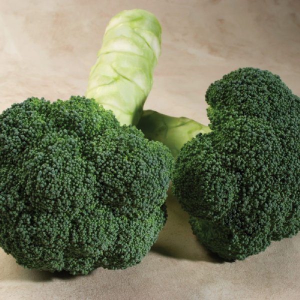 Green Gold Broccoli Seed