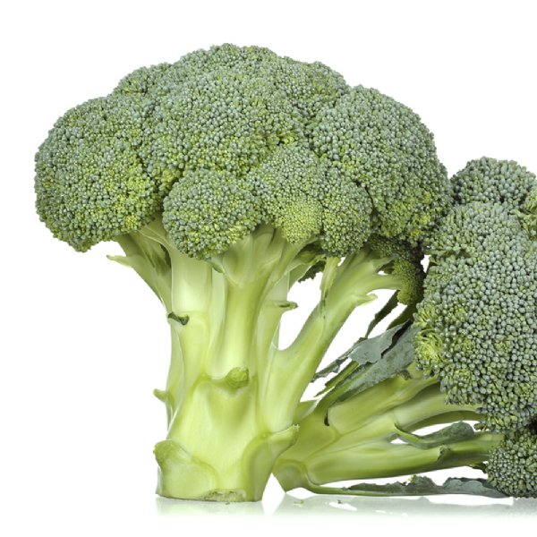 Green Man Broccoli Seed