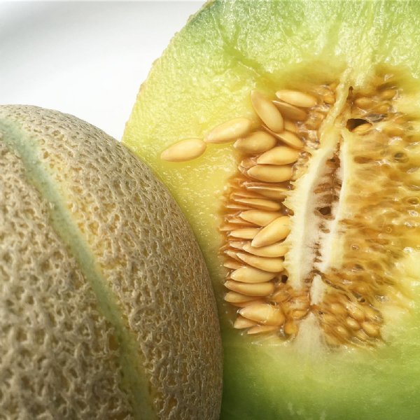 Green Nutmeg Cantaloupe Seeds