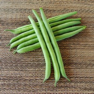 Greenback Bean Seed