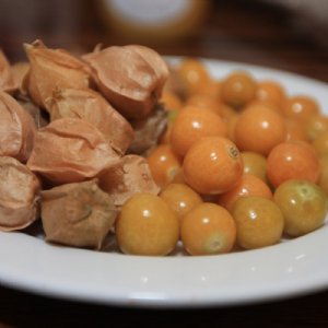 Ground Cherry Husk Tomato Seeds