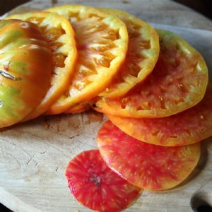 Hillbilly Potato Leaf Tomato Seeds