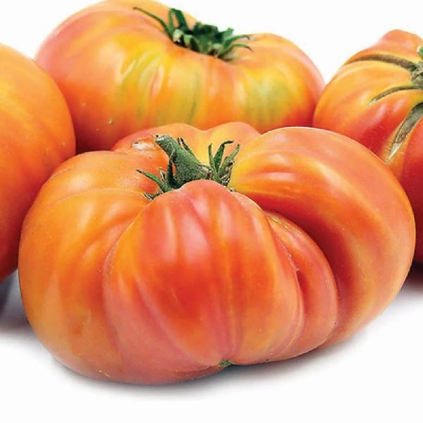 Hillbilly West Virginia Tomato Seeds