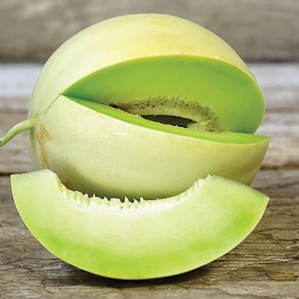 Honey Dew Green Flesh Cantaloupe Seeds