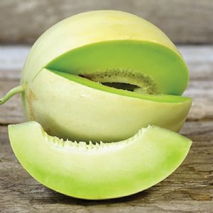 Honey Dew Green Flesh Cantaloupe Seeds