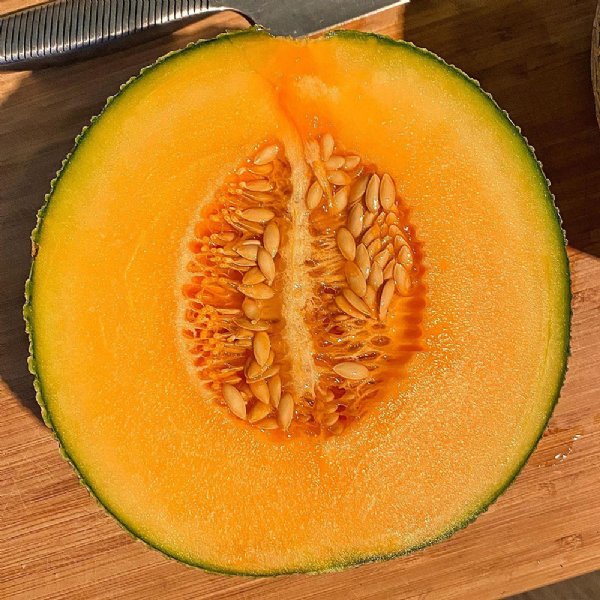 Honey Rock Cantaloupe Seeds