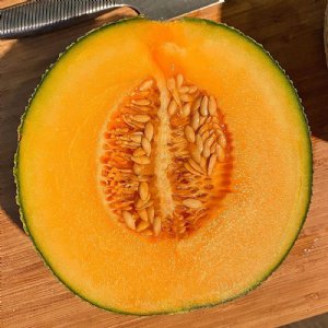 Honey Rock Cantaloupe Seeds