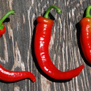 Hot Portugal Pepper Seed