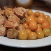 Husk Tomato Seeds