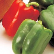 Hybrid Sweet Pepper Seeds