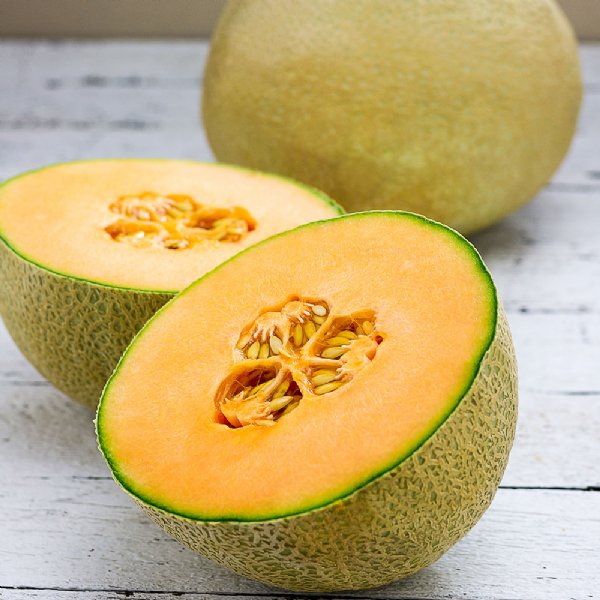 Infinite Gold Cantaloupe Seeds