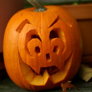 Jack O' Lantern Pumpkin Seed