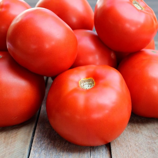 Jamestown Tomato Seeds