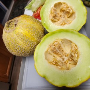 Jenny Lind Cantaloupe Seeds