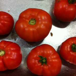 Jet Star Tomato Seeds