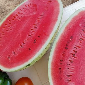 Jubilee Watermelon Seed