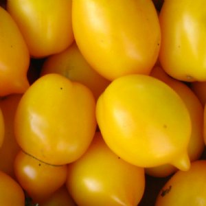 Lemon Plum Tomato Seeds