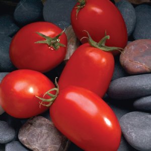 Marianna Tomato Seeds