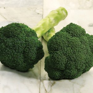 Maverick Broccoli Seed