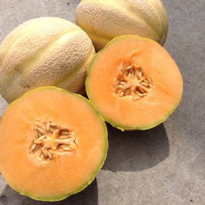 Milan Cantaloupe Seeds