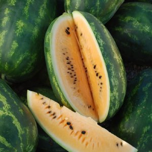 Mountain Sweet Yellow Watermelon Seed