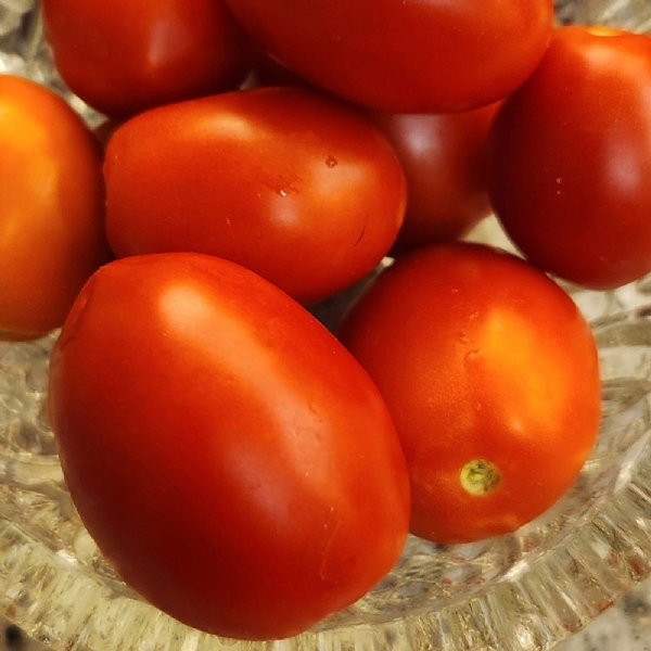 Napoli Tomato Seeds