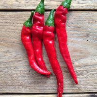 Open Pollinated Hot Pepper Seeds