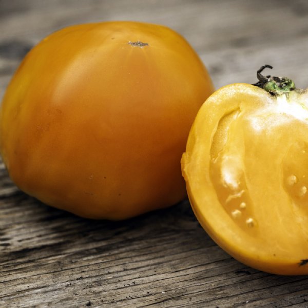 Orange Queen Tomato Seeds