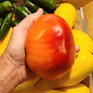 Oxheart Bicolor Striped Tomato Seeds