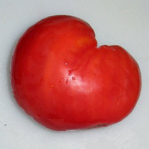 Oxheart Red Tomato Seeds