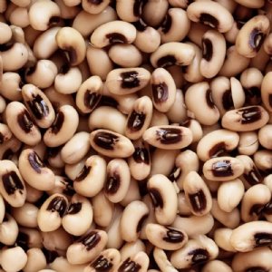 Phenomenal Blackeye Cowpea Seed