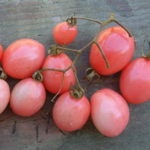 Pink Grape Tomato Seeds